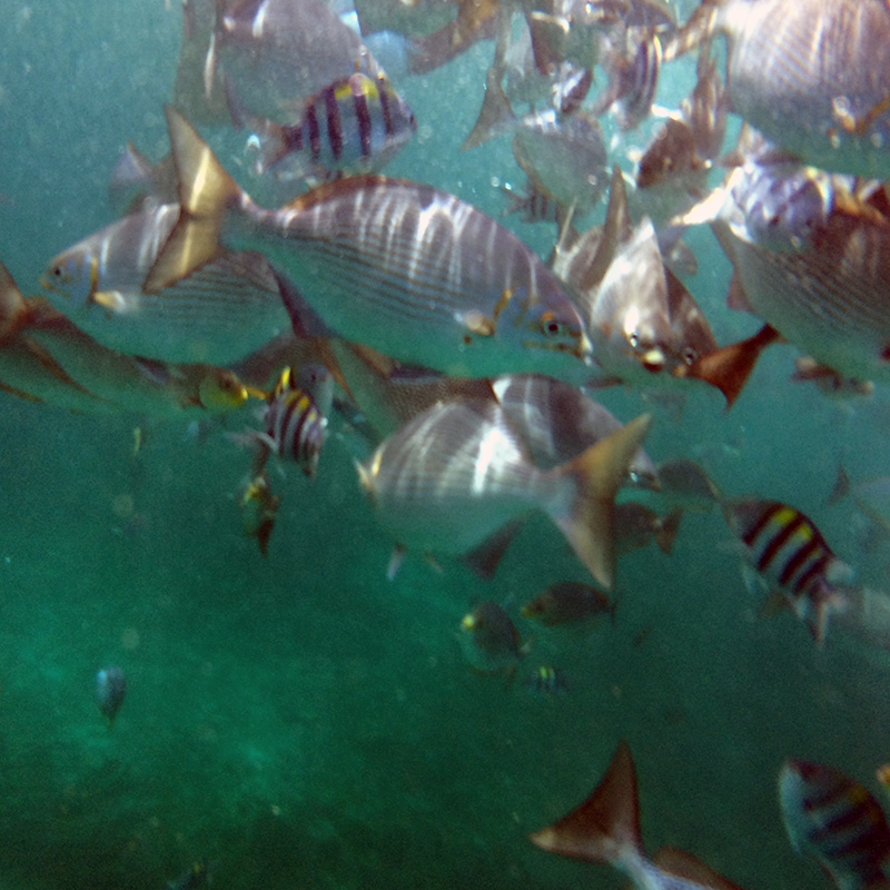 similan